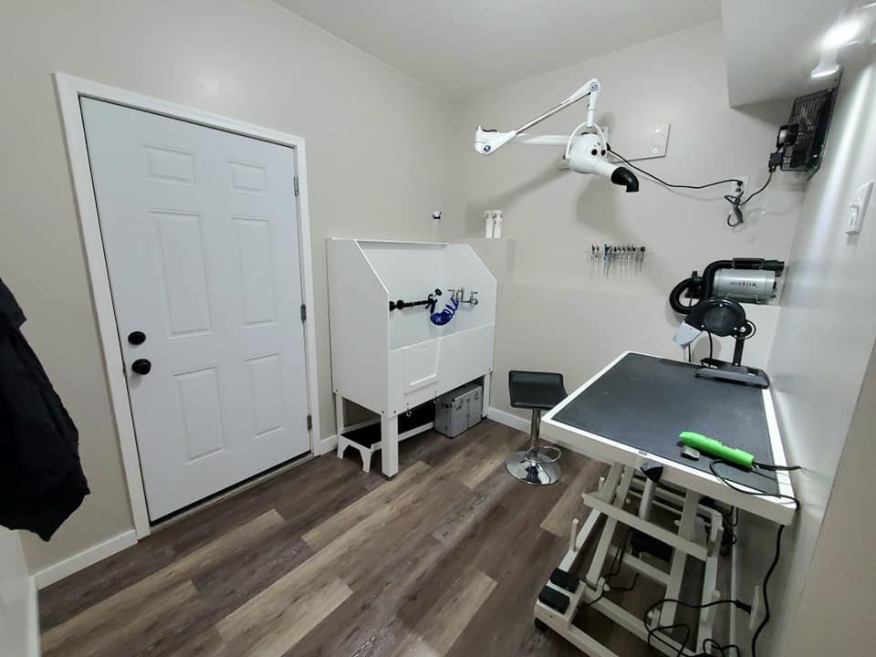 Gentle Touch Grooming | 67 Ave, Rocky Mountain House, AB T4T 1V6, Canada | Phone: (403) 846-3364