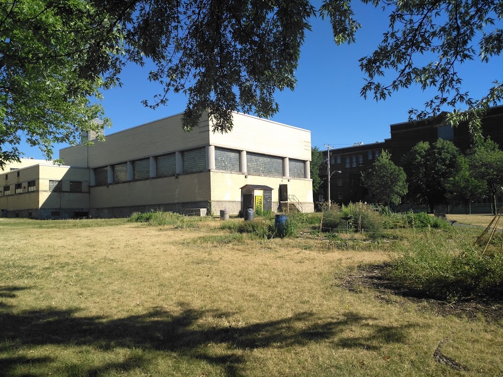 Bibliothèque de Rosemont | 3131 Bd Rosemont, Montréal, QC H1Y 1M4, Canada | Phone: (514) 872-4701