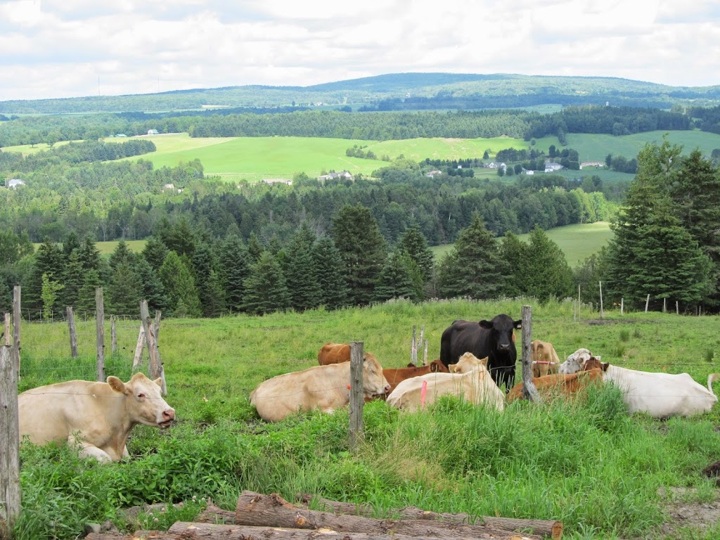 Boucherie Ferme Mario Gadbois | 1255 Chemin de Ladds Mills, Coaticook, QC J1A 2S2, Canada | Phone: (819) 849-7373