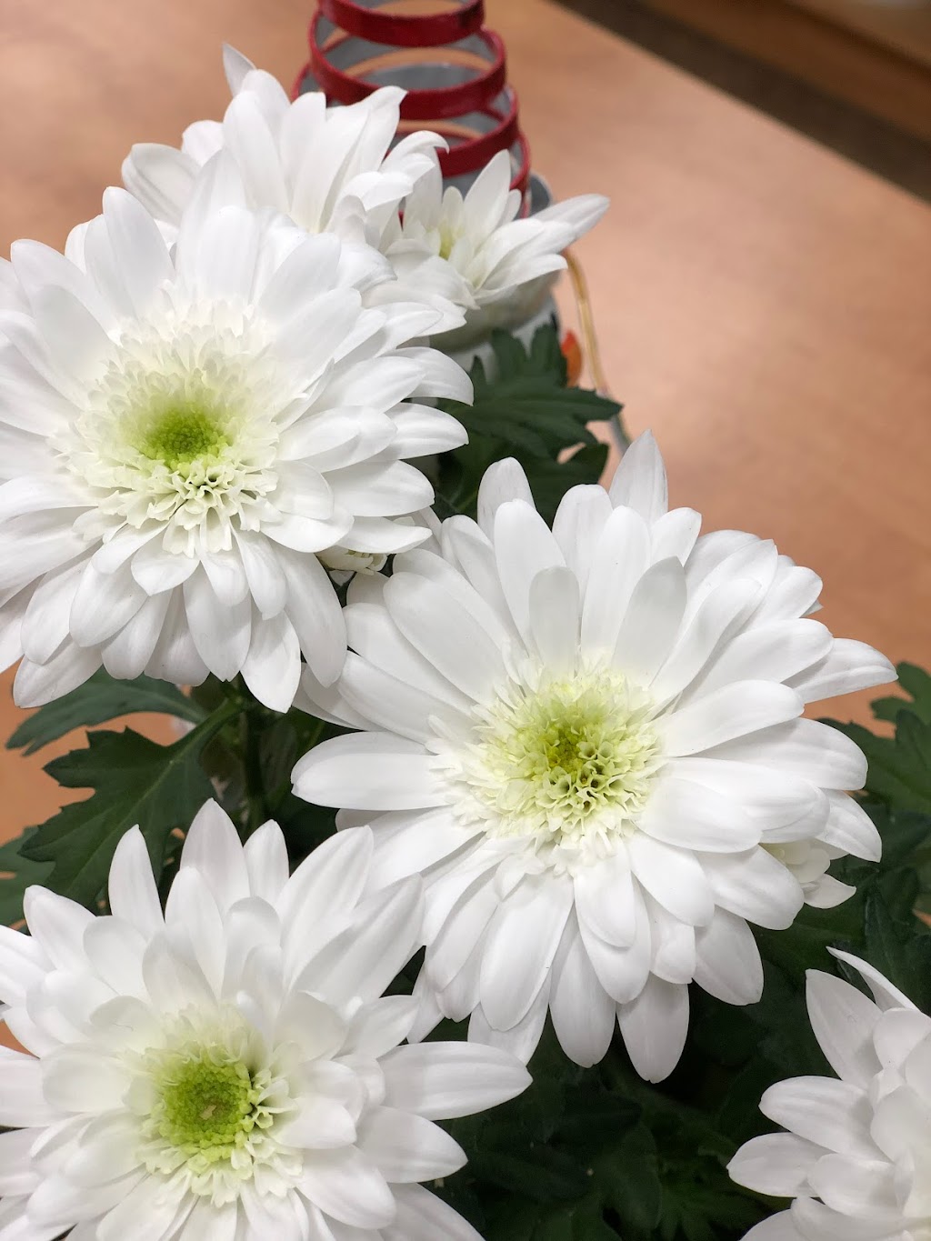 Westland Greenhouse (Jordan) Ltd | 4428 15th St, Jordan Harbour, ON L0R 1S0, Canada | Phone: (905) 562-7022