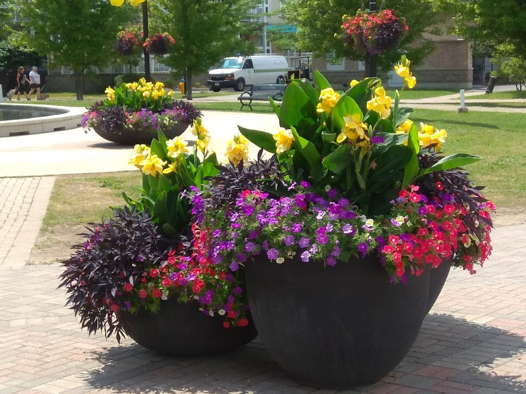 Cobourg Farmers Market (Open Seasonally) | Rotary Harbourfront Park Albert and, 2nd St, Cobourg, ON K9A 2P8, Canada | Phone: (416) 887-2655