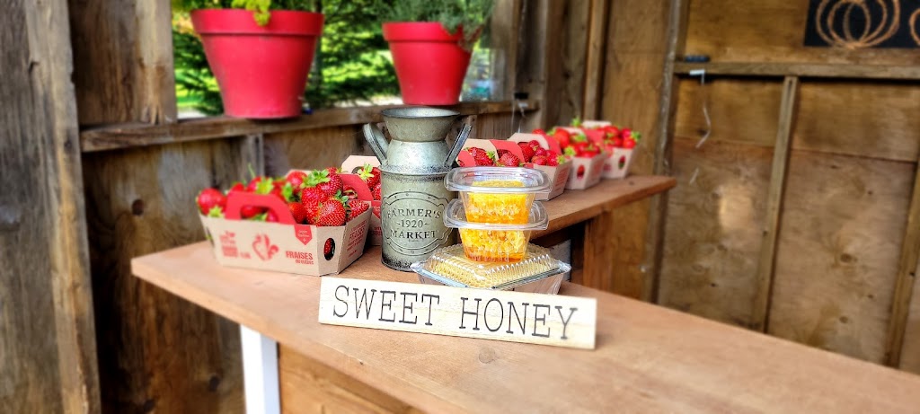 Marché Mcbain | 2126 Bd Valcartier, Saint-Gabriel-de-Valcartier, QC G0A 4S0, Canada | Phone: (581) 307-9143