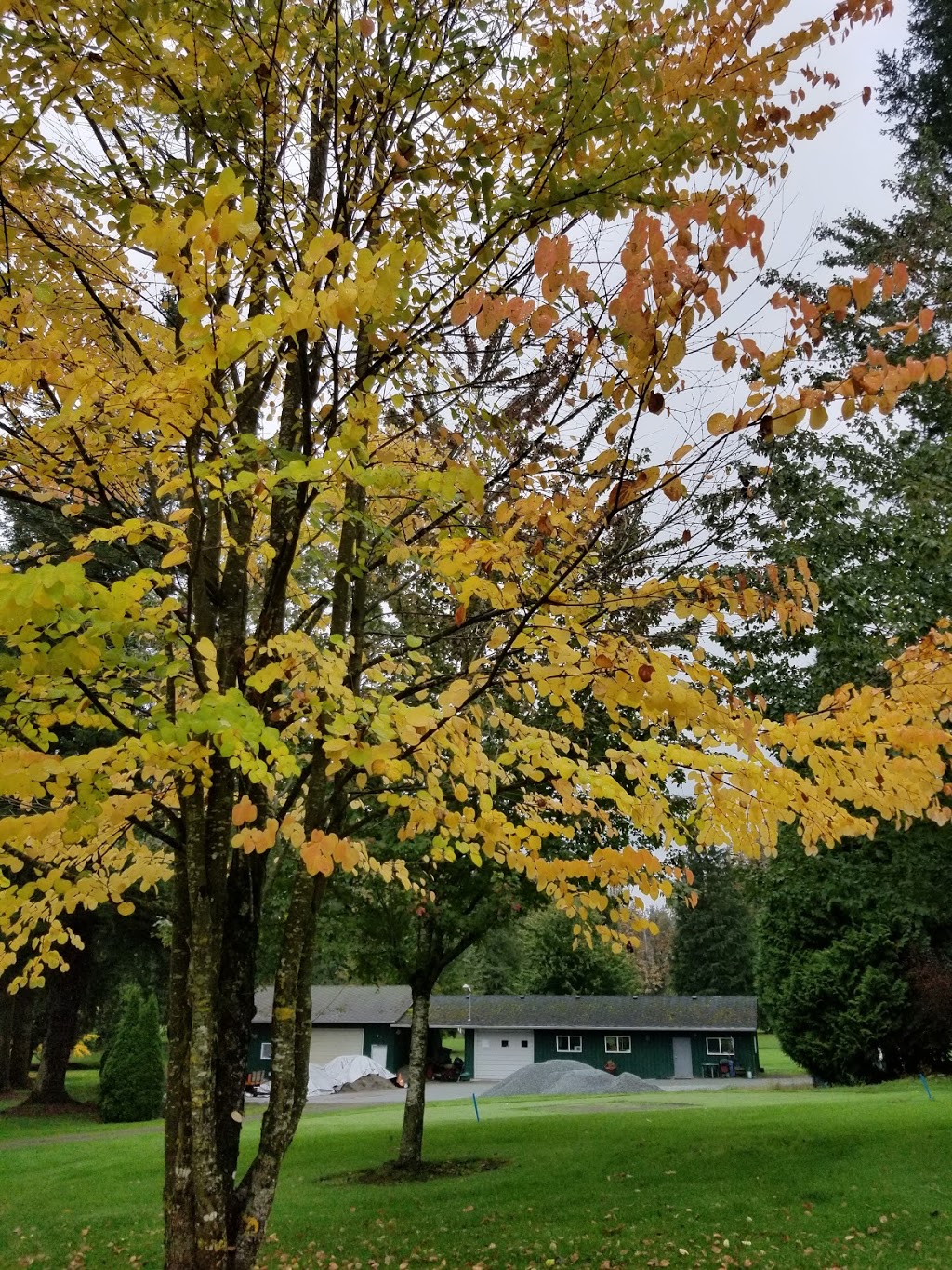 Mission Golf & Country Club | 7983 Nelson St, Mission, BC V2V 4P4, Canada | Phone: (604) 826-7617
