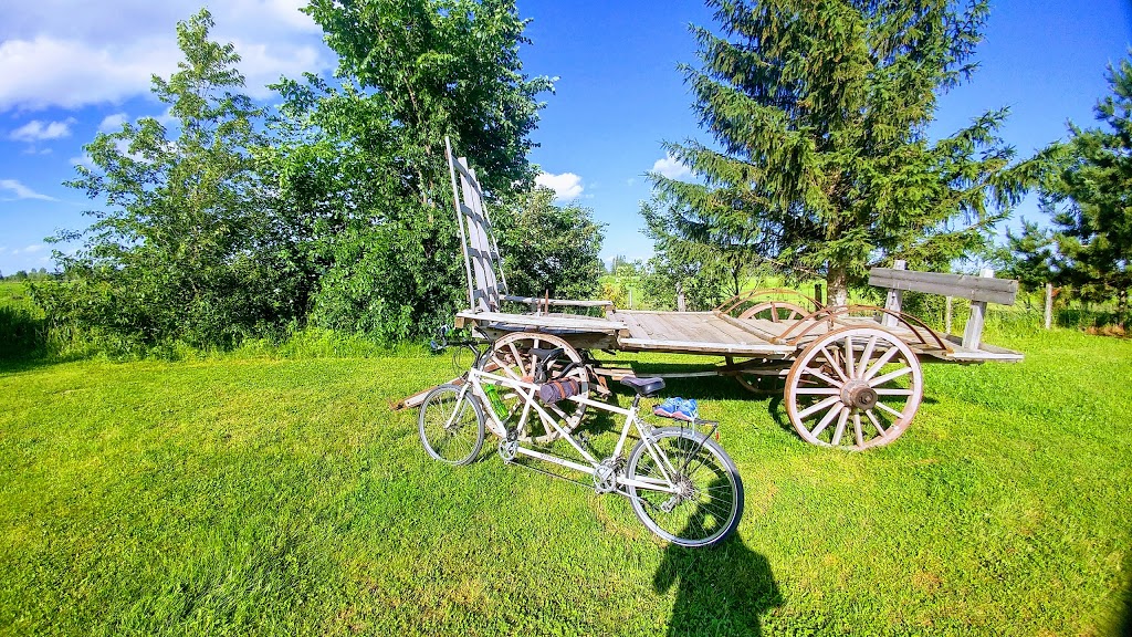 Camping les Jardins DEau | 696 Chemin du Ruisseau-Barré, Marieville, QC J3M 1P2, Canada | Phone: (514) 826-2351