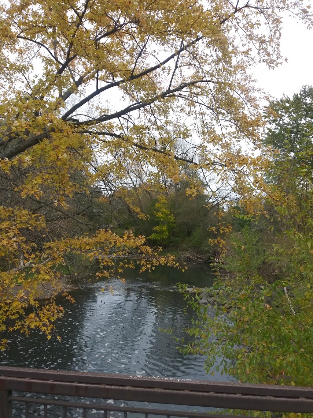 Hague Park | 300 Bellamy Rd N, Toronto, ON M1H, Canada