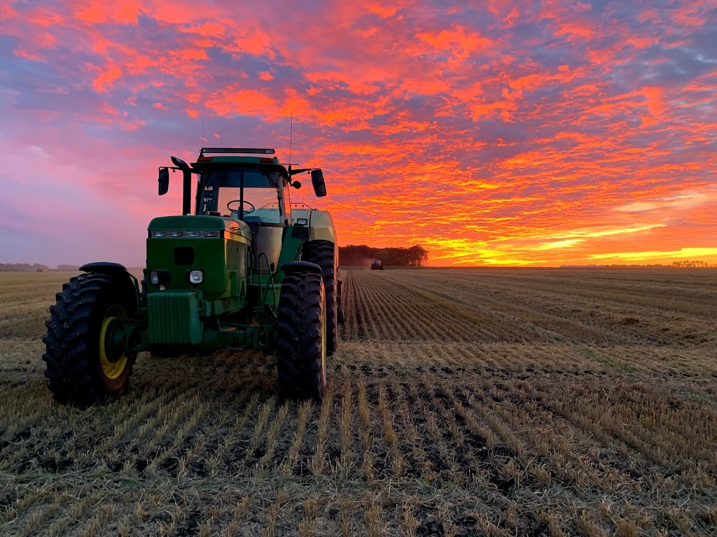 Goldenview Farms Ltd. | 23096 Rd 2 N, NW-7-1-4-W RM of Stanley Box 288 RR2, Morden, MB R6M 2A1, Canada | Phone: (204) 362-4874