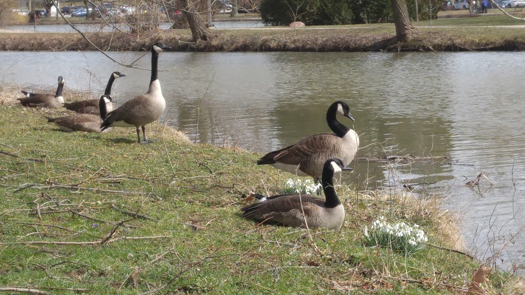 North Shore Park | Stratford, ON N5A, Canada