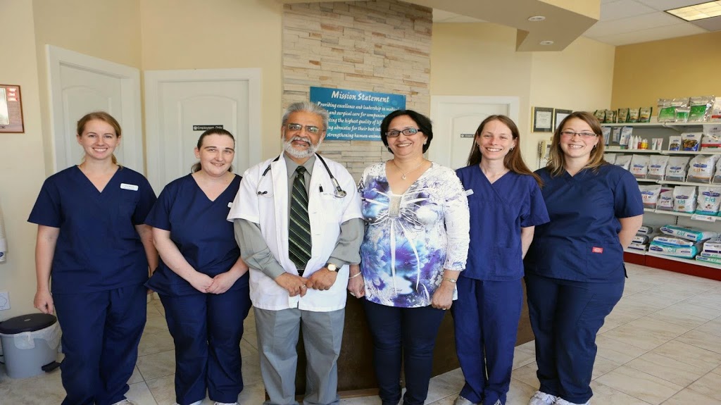 Apex Animal Hospital | 19909 64 Ave #102, Langley City, BC V2Y 1G9, Canada | Phone: (604) 514-1444