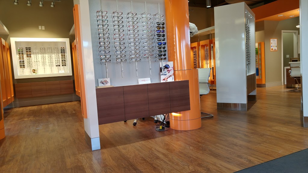The Vision Gallery | 4931 167 Ave NW, Edmonton, AB T5Y 0S4, Canada | Phone: (780) 705-2015