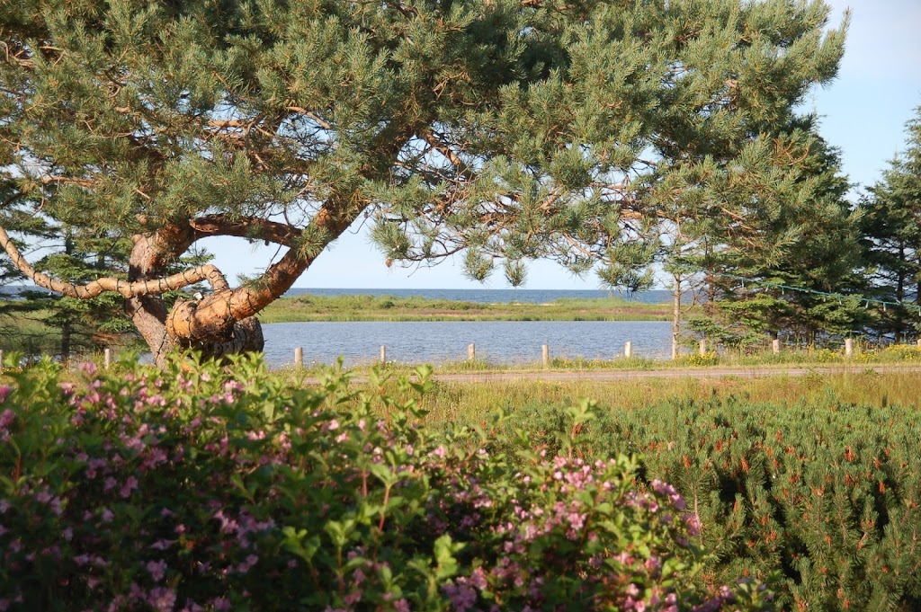 Goodview Cottages By Stanhope Beach | 1319 Gulf Shore Pkwy E, York, PE C0A 1P0, Canada | Phone: (902) 316-6039