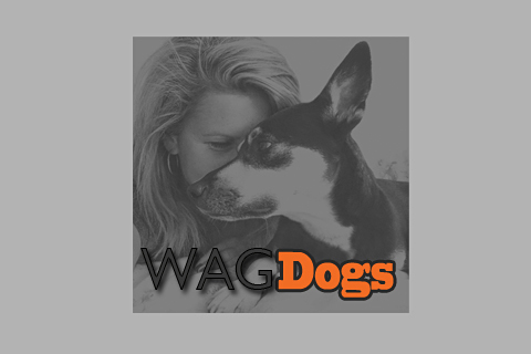 WAGDogs | point of interest | 11024 Oakfield Dr SW, Calgary, AB T2W 5G6, Canada | 4037088224 OR +1 403-708-8224