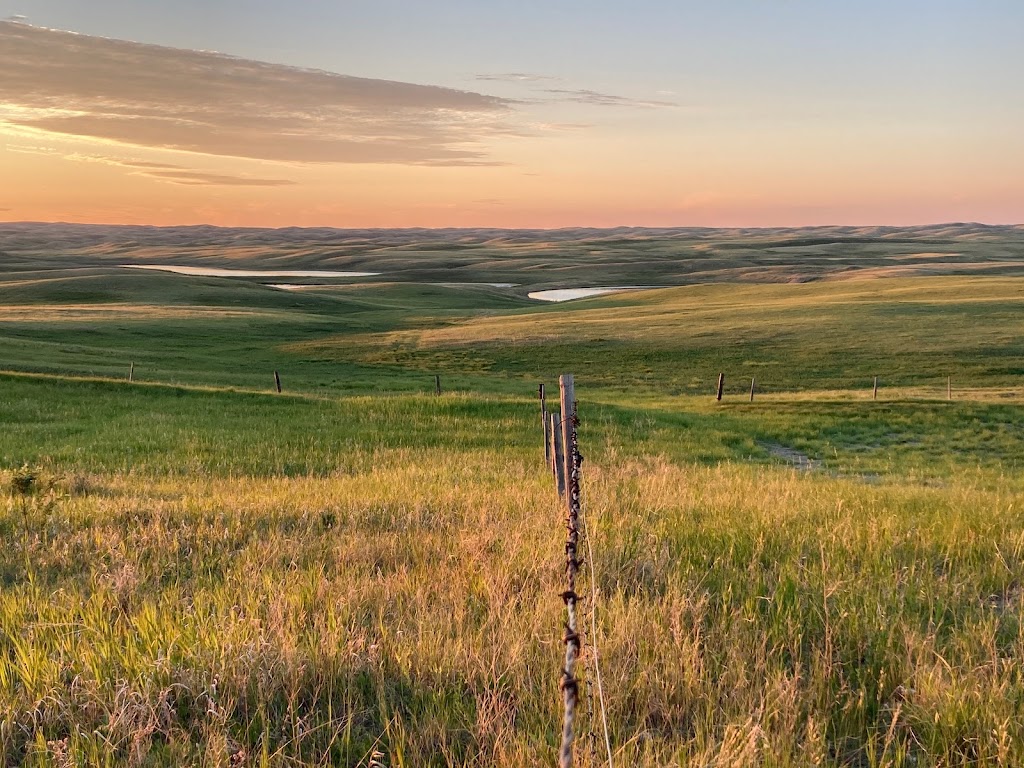 Box H Farm | SW 5-3-18 W2nd, Gladmar, SK S0C 1A0, Canada | Phone: (306) 815-7191