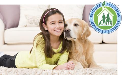 Chem-Dry Carpet & Upholstery Cleaning Ottawa | 2759 Fenton Rd, Gloucester, ON K1T 3T8, Canada | Phone: (613) 228-1696