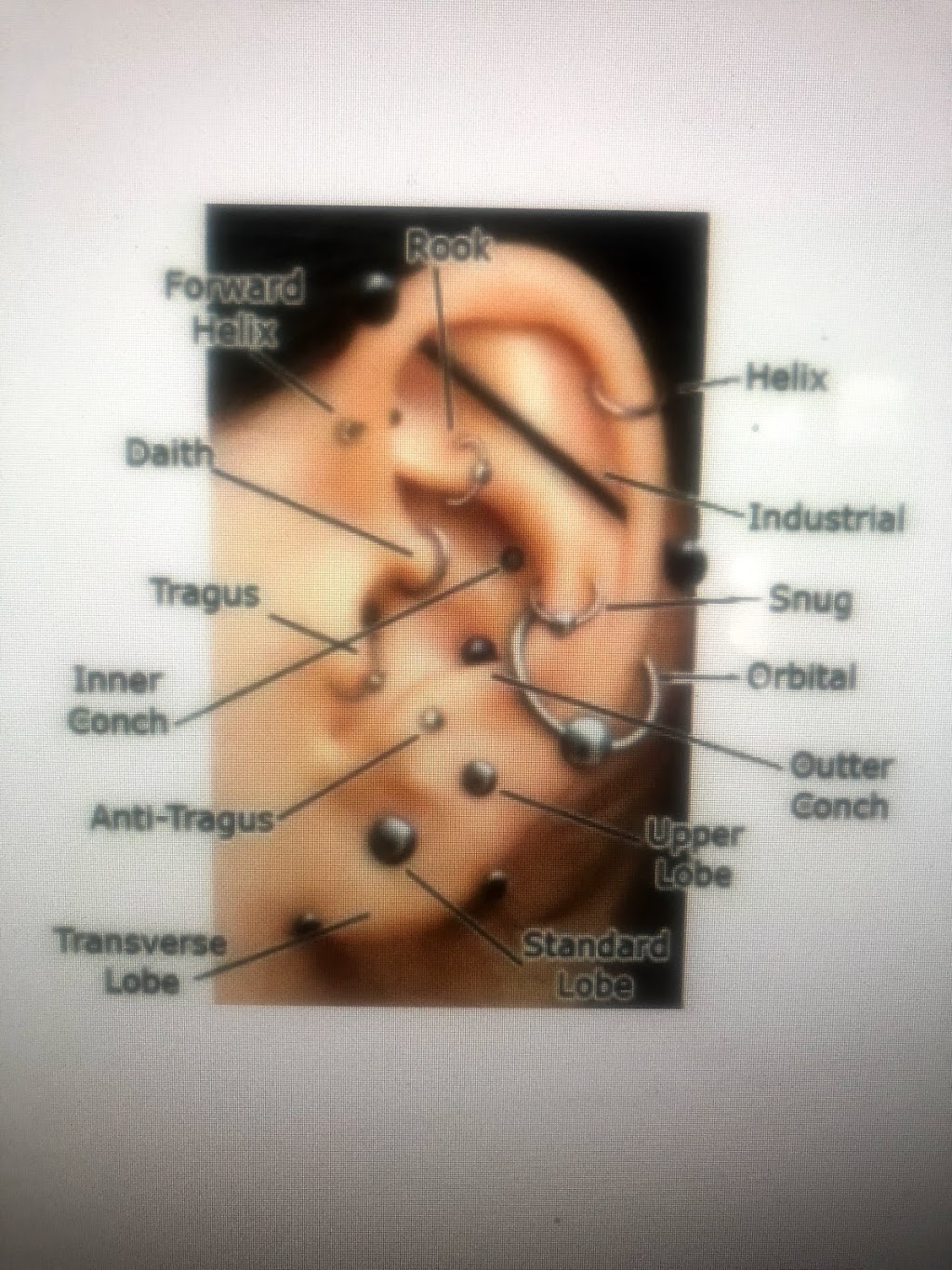 The Laser Room Medi-Spa & Piercing Studio | 2091 20 St NE, Salmon Arm, BC V1E 2G3, Canada | Phone: (250) 253-2885