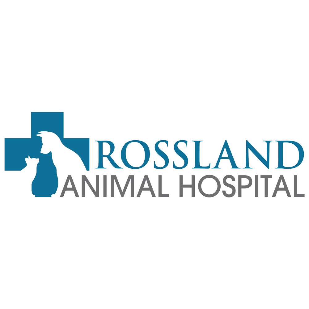 Rossland Animal Hospital | 575 Thornton Rd N, Oshawa, ON L1J 8L5, Canada | Phone: (905) 240-1119