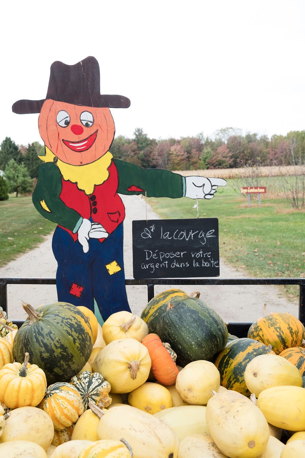 Ferme Éthier Les Fruits Soleil | 490 4 Rang, Saint-Étienne-des-Grès, QC G0X 2P0, Canada | Phone: (819) 376-8062