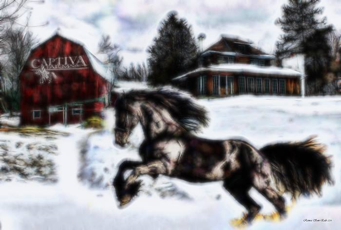 Captiva Farms Horseback Riding | 189 Chemin de la Montagne, Wakefield, QC J0X 3G0, Canada | Phone: (819) 459-2769