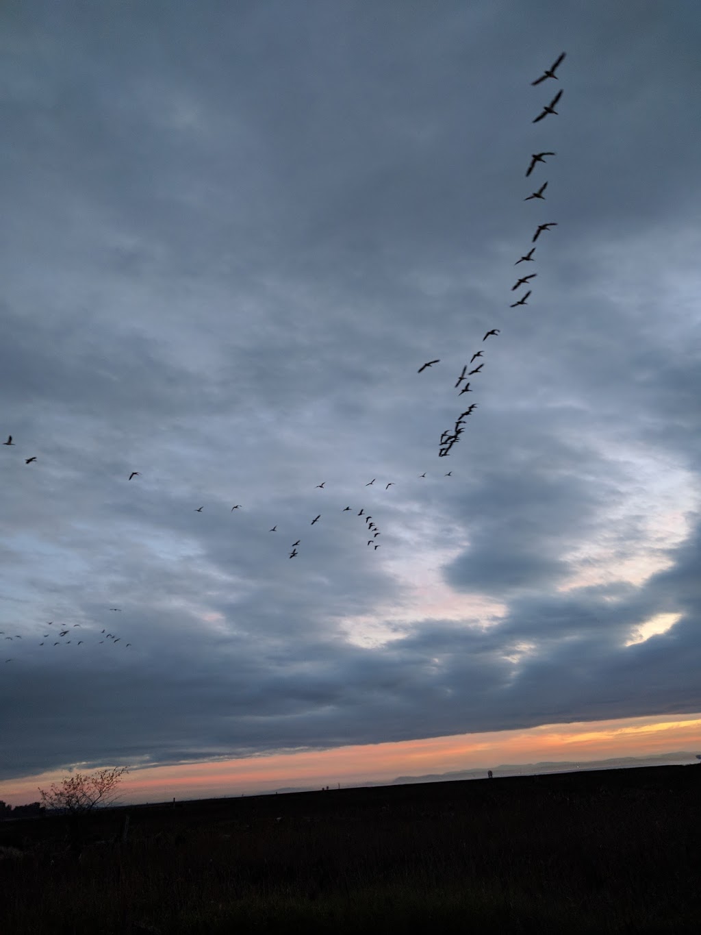 Grauer Lands | Richmond, BC, Canada
