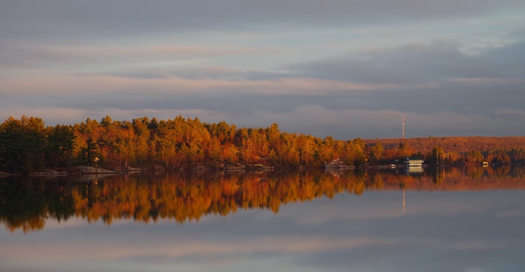 Wantasa Resort | 472 Carveths Marina Rd, Lakefield, ON K0L 2H0, Canada | Phone: (705) 652-3577