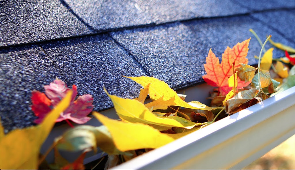 House Doctor Exteriors Renovation | 2922 Maple Way NW #33, Edmonton, AB T6T 1A5, Canada | Phone: (780) 263-9693