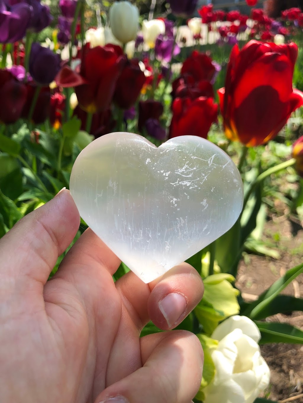 Natural Healing Centre | 1090 Don Mills Rd Unit R002B, North York, ON M3C 3R6, Canada | Phone: (416) 226-6777