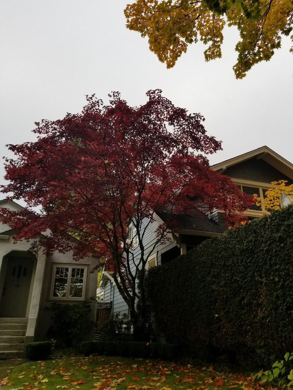 Knox United Church | 5600 Balaclava St, Vancouver, BC V6N 1L1, Canada | Phone: (604) 261-3747