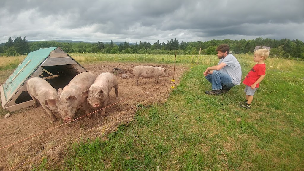 Simply Ducky Farm | 2952 Nova Scotia Trunk 7, Antigonish, NS B2G 2L3, Canada | Phone: (902) 783-2959