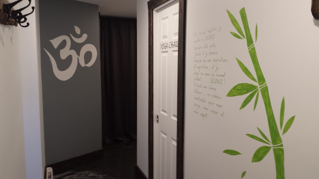 Studio Yoga Hot St-Sauveur | 91 Avenue Léonie, Saint-Sauveur, QC J0R 1R5, Canada | Phone: (450) 630-1031