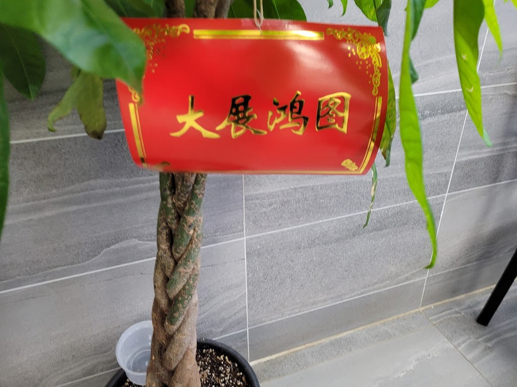 CHINA8 port elgin | 1246 Goderich St, Port Elgin, ON N0H 2C0, Canada | Phone: (519) 832-3131