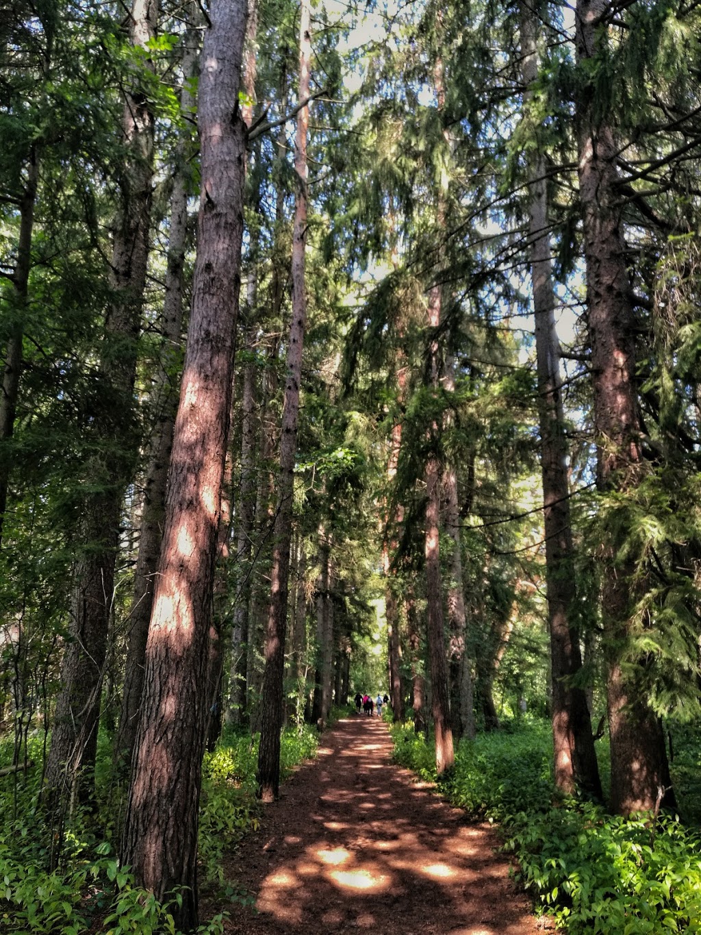 Orchard Trail | Rouge, Toronto, ON M1B 5W8, Canada