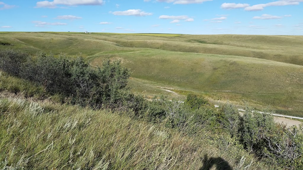 Pearl Homes | 14 Cambridge Close, Carbon, AB T0M 0L0, Canada | Phone: (403) 820-0111