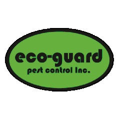 ECO-GUARD Pest Control | 1926 Mosley St, Wasaga Beach, ON L9Z 0Z3, Canada | Phone: (705) 352-7378