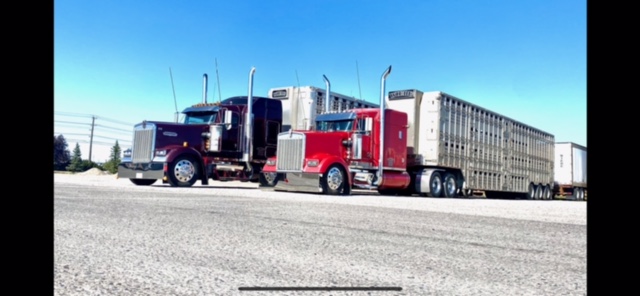 Abe Wiebe Trucking Inc. | Box 78, Cranford, AB T0K 0R0, Canada | Phone: (403) 223-7860