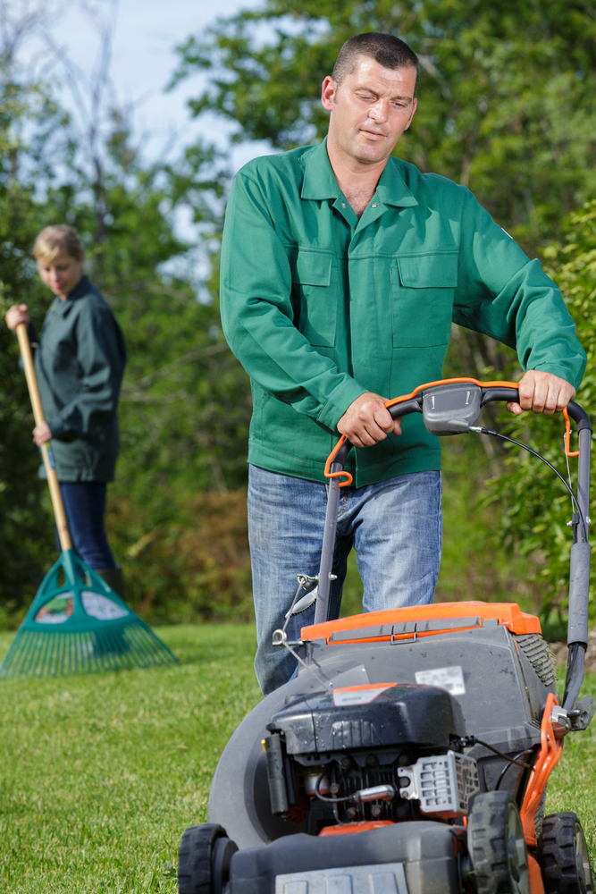 Red Deer Landscaping & Design | 76 Vanson Close, Red Deer, AB T4R 0G9, Canada | Phone: (587) 802-0936