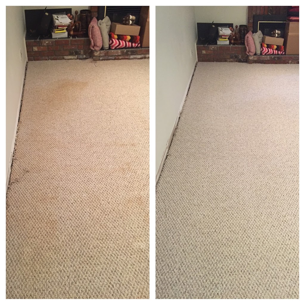 First Class Carpet Cleaning | 4850 Slocan St, Vancouver, BC V5R 2A3, Canada | Phone: (604) 839-9008