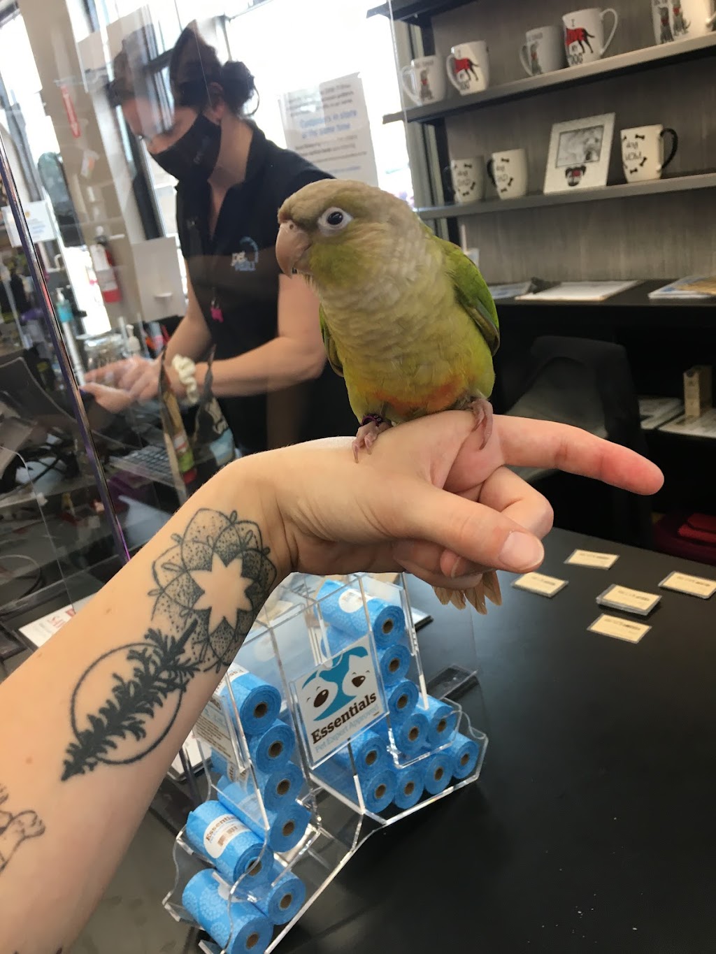Pet Valu Watters | 900 Watters Road Units 3B & 4, Orléans, ON K4A 0B4, Canada | Phone: (613) 424-0132