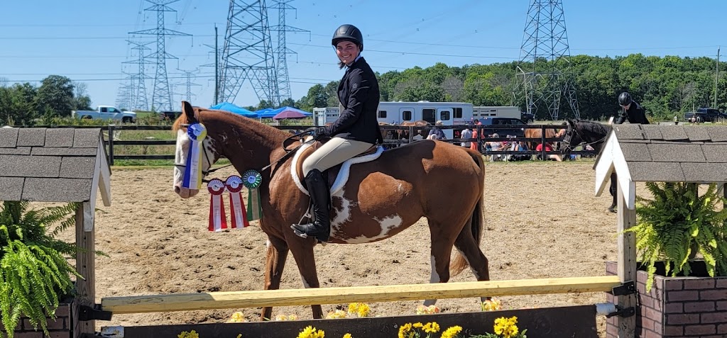 Flat Rock Farm Equestrian | 1350 Shannonville Rd, Shannonville, ON K0K 3A0, Canada | Phone: (613) 661-9028