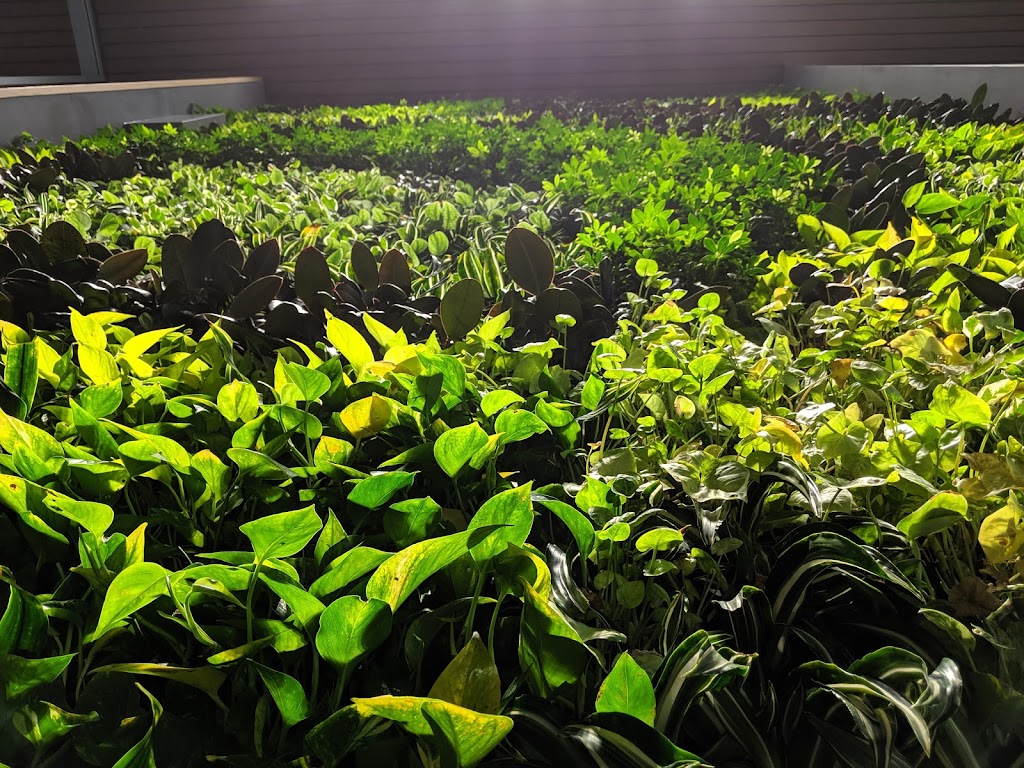 Sustainable Waterloo Region | 420 Wes Graham Way Suite #102, Waterloo, ON N2L 0J6, Canada | Phone: (519) 603-2223