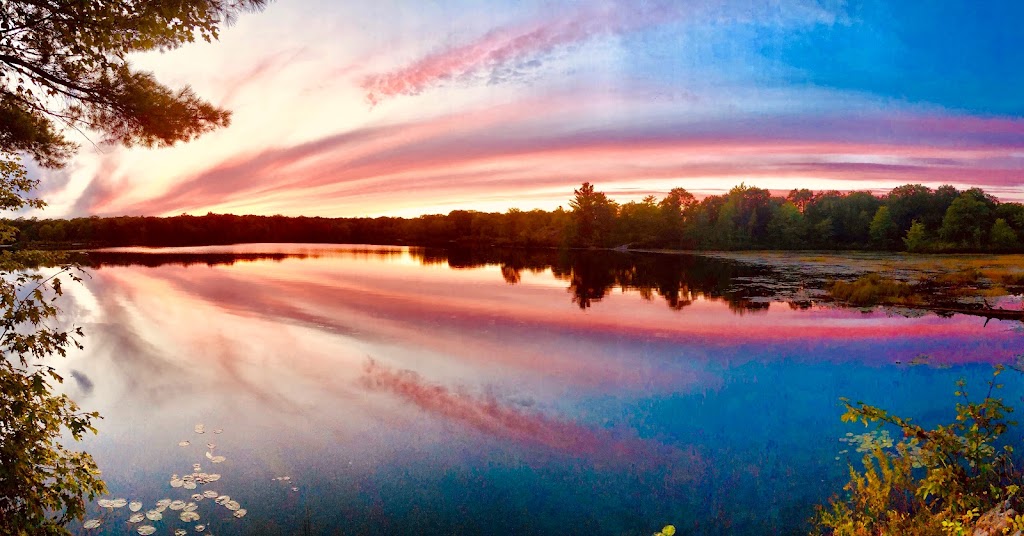 Little Turtle Lake | Coon Lake Rd, Harcourt, ON K0L 3E0, Canada | Phone: (613) 332-3940