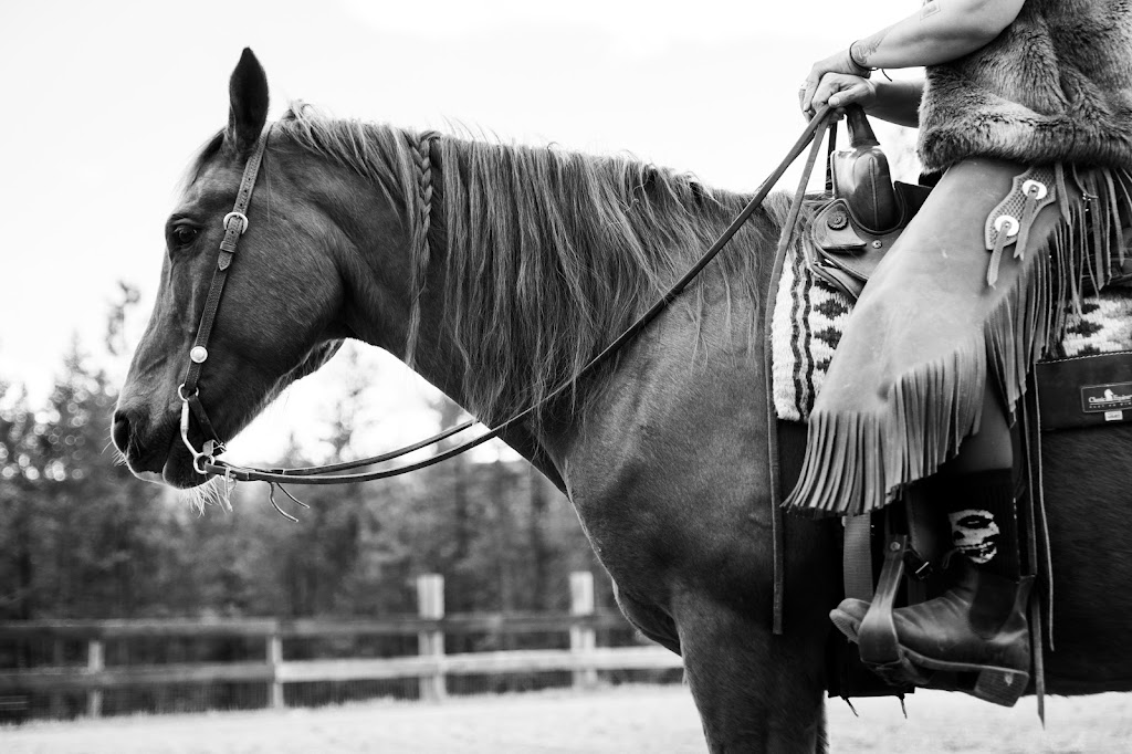 Freedom Equine Association | 4344 Fenwick Rd, Wardner, BC V0B 2J0, Canada | Phone: (250) 430-2233