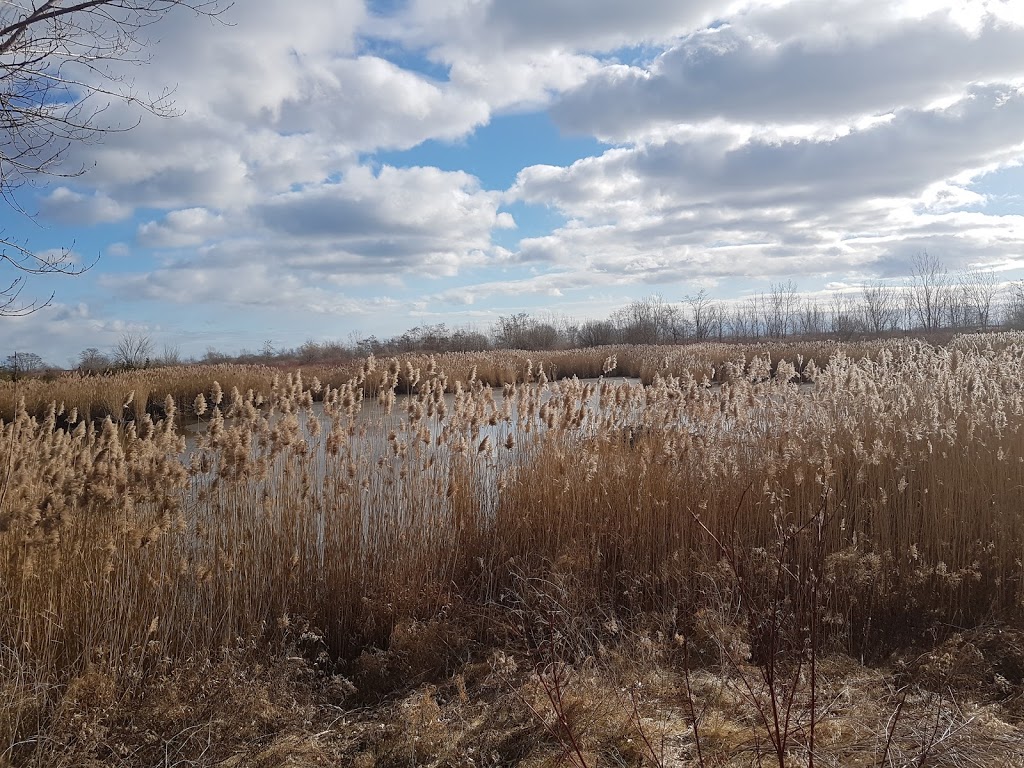 Tommy Thompson Park | Unnamed Road, Toronto, ON M4M, Canada