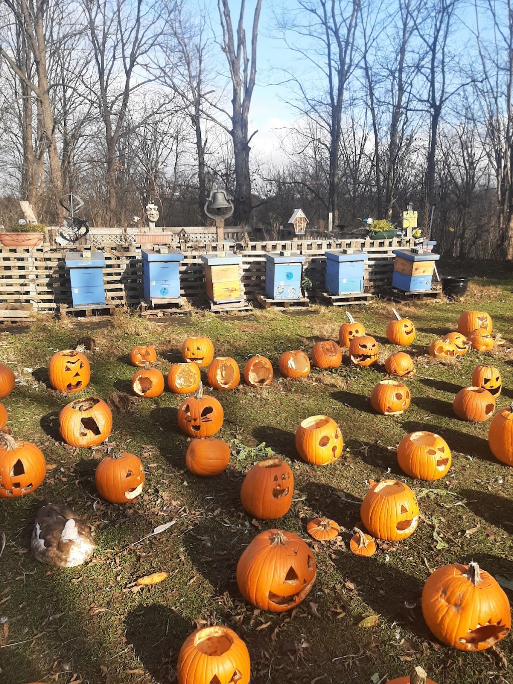 Meadowlily Farm & Bee Rescue | 25 Meadowlily Rd S, London, ON N6M 1C3, Canada | Phone: (519) 520-0424