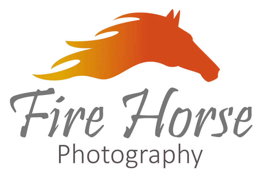 Fire Horse Photography | 46 Tupper St, Millbrook, ON L0A 1G0, Canada | Phone: (705) 932-9139