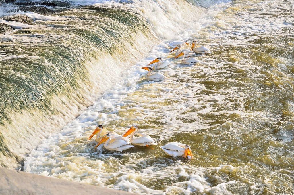 Lockport Heritage Park | 23022 Provincial Trunk Hwy 44, Lockport, MB R1B 1A1, Canada | Phone: (204) 757-2902 Lockport Heritage Park | 23022 Provincial Trunk Hwy 44, Lockport, MB R1B 1A1, Canada | Phone: (204) 757-2902