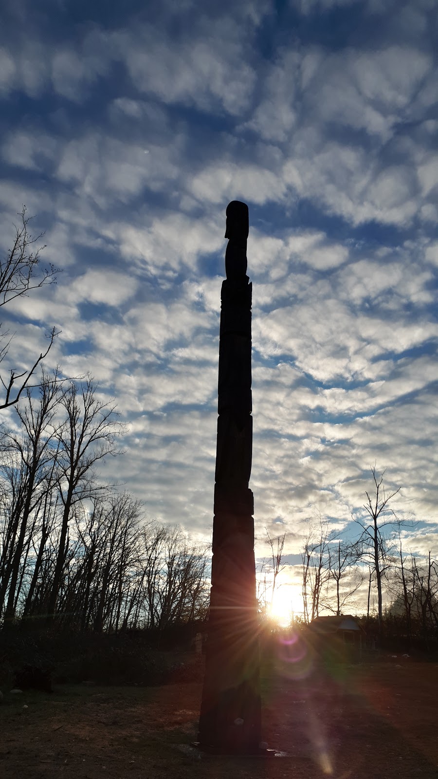 Emmas Acres | 34890 Cemetery Ave, Mission, BC V2V 6Y6, Canada | Phone: (604) 852-5514