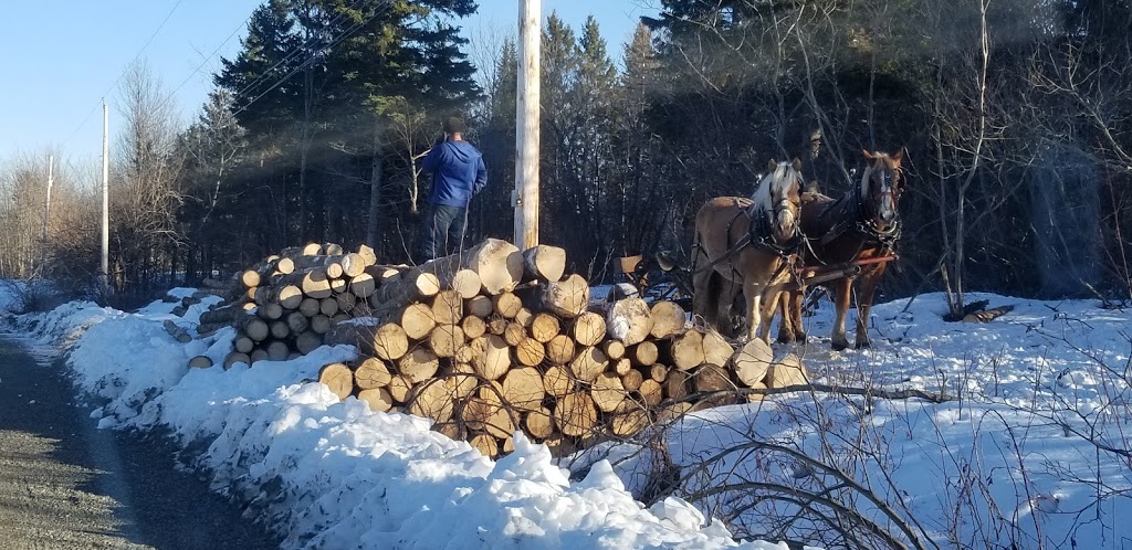 NORTH NOVA FOREST OWNERS CO-OP LTD | 11986 NS-4, Wentworth, NS B0M 1Z0, Canada | Phone: (902) 548-2400