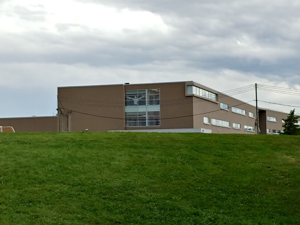 St. Jean de Brebeuf Catholic High School | 2 Davos Rd, Woodbridge, ON L4H 2Y1, Canada | Phone: (905) 653-2493