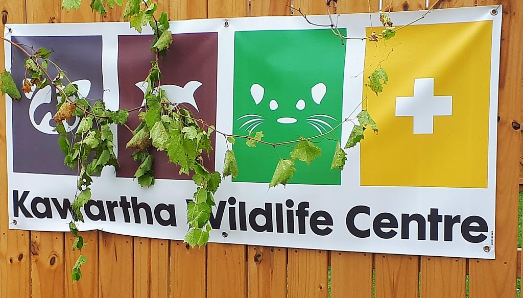 Kawartha Wildlife Centre | 470 Robinson Rd, Ennismore, ON K0L 1T0, Canada | Phone: (705) 292-9211