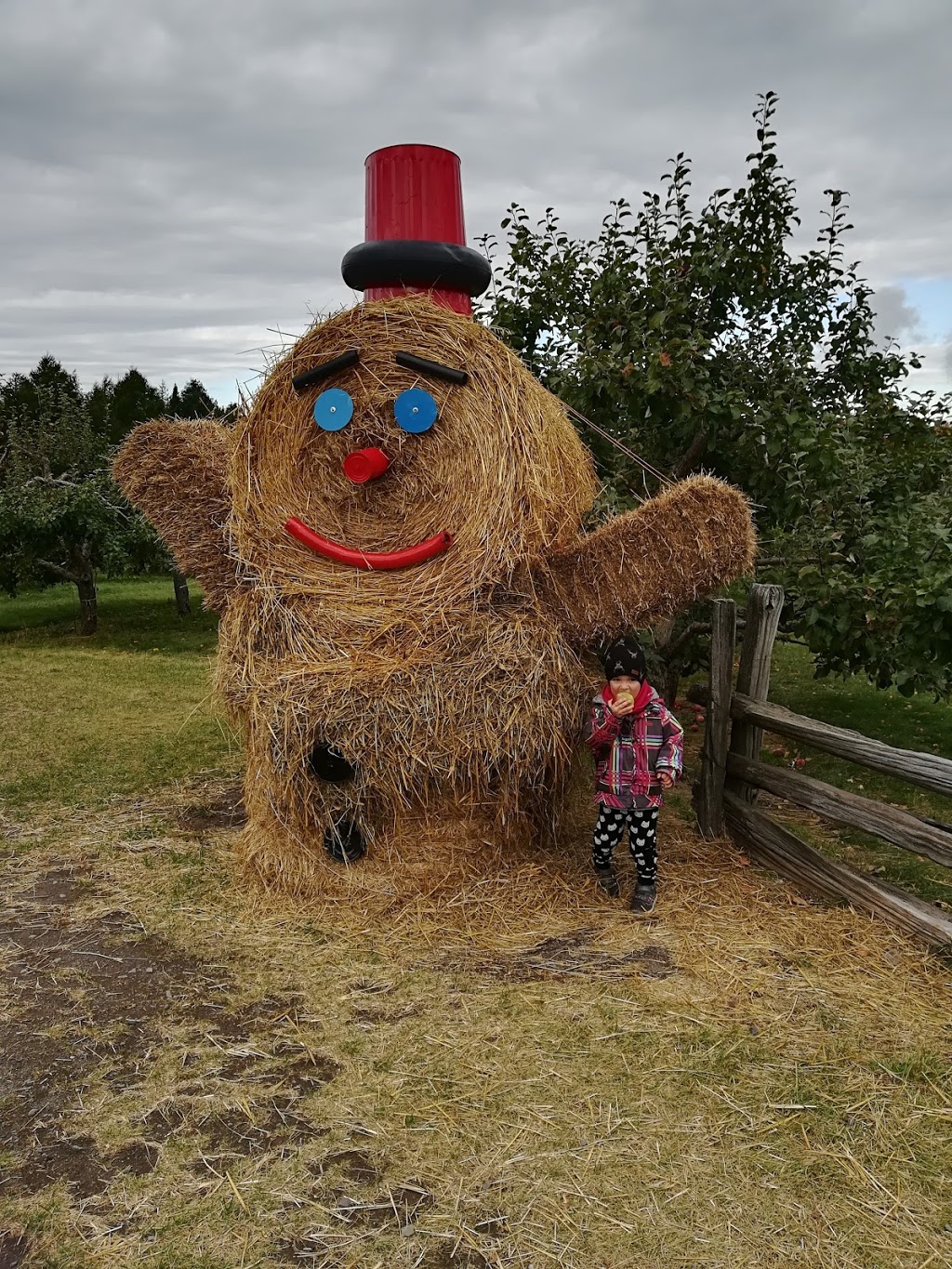 Cidrerie La Pomme du St-Laurent Inc | 503 Chemin Bellevue O, Cap-Saint-Ignace, QC G0R 1H0, Canada | Phone: (418) 246-5957