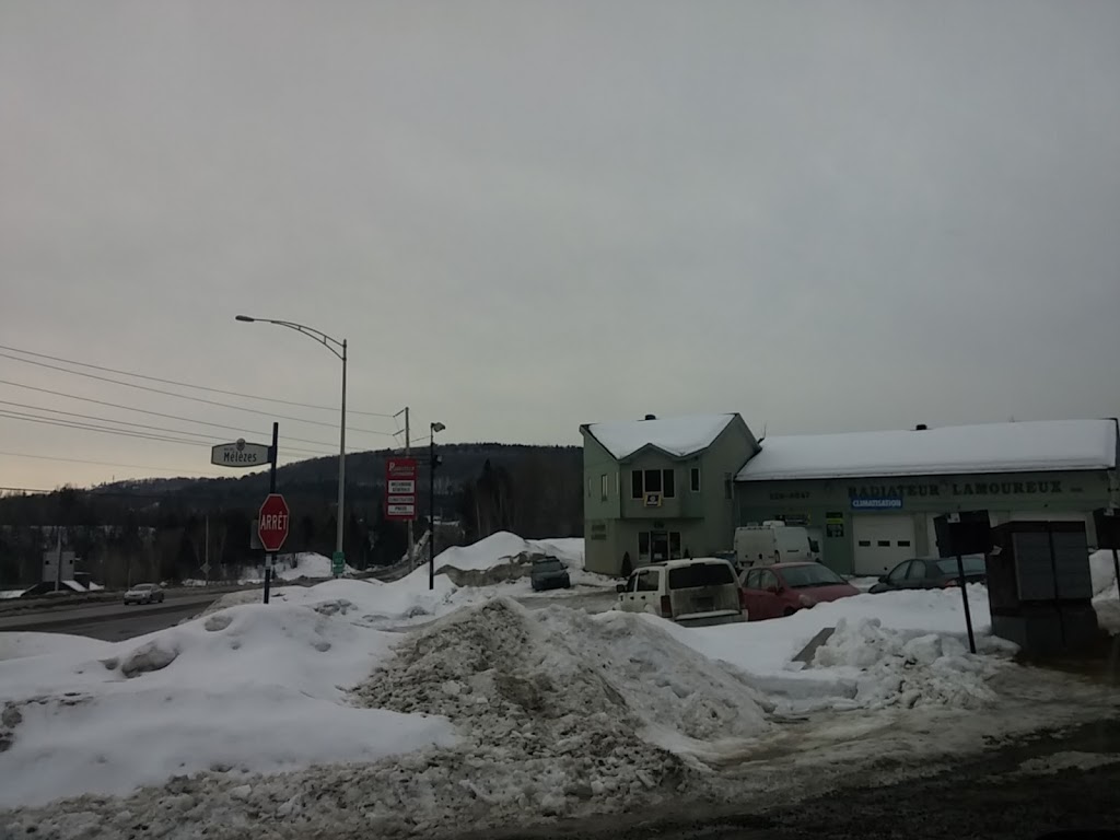 Garage Radiateur Lamoureux | 136 Boulevard de Sainte-Adèle, Sainte-Adèle, QC J8B 1A8, Canada | Phone: (450) 229-4647